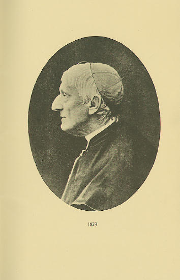 Click for larger image (500x775)